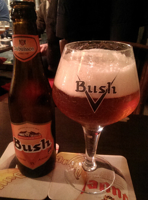 Bush Ambrée at Poechenellekelde, Brussels